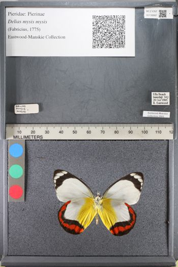 Media type: image;   Entomology 139997